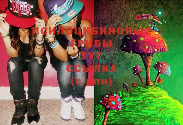 гашиш Михайлов