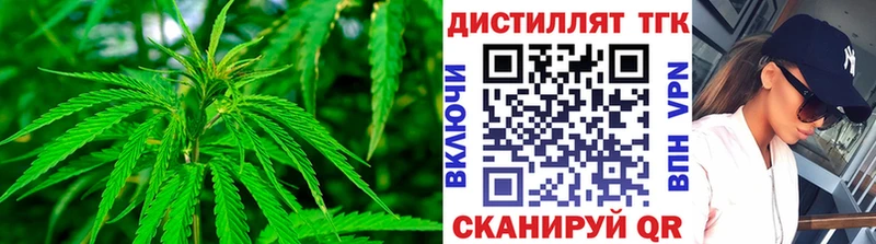 Дистиллят ТГК Wax  Кстово 