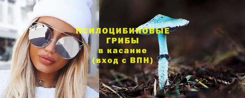 Псилоцибиновые грибы Magic Shrooms  MEGA вход  Кстово 