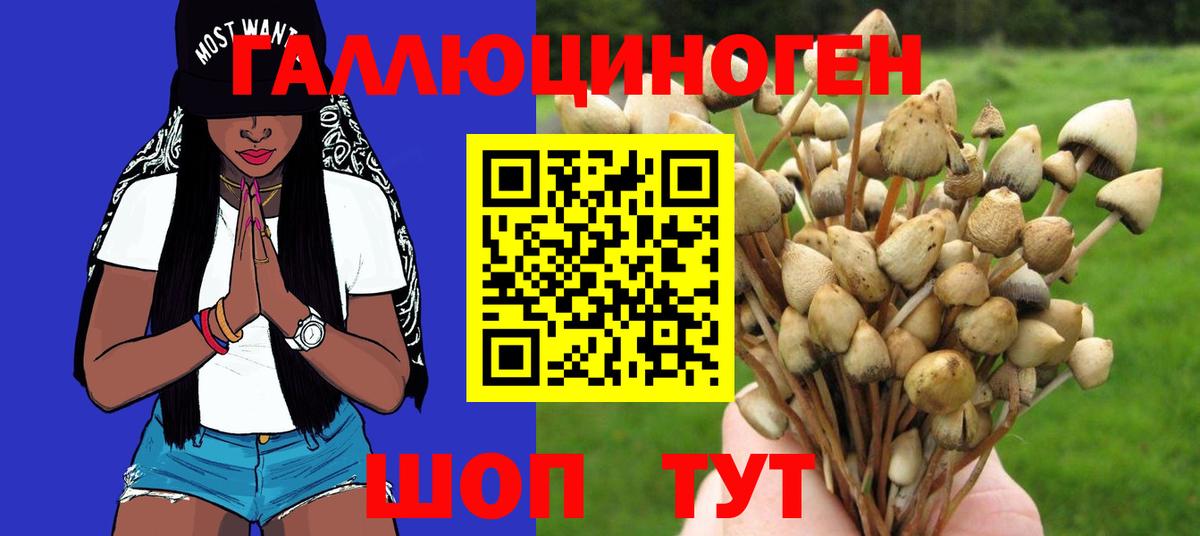 Псилоцибиновые грибы ЛСД Кстово