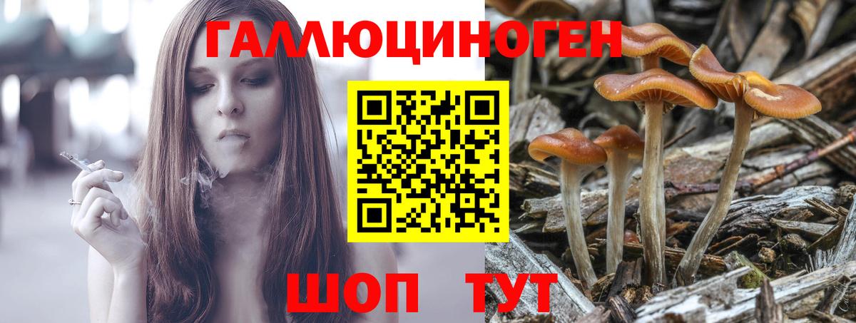 Псилоцибиновые грибы MAGIC MUSHROOMS Кстово