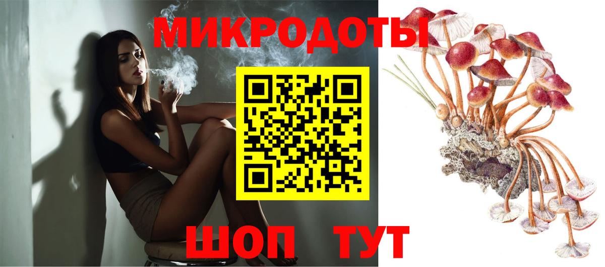 Галлюциногенные грибы Psilocybe  Вход с VPN  Кстово 